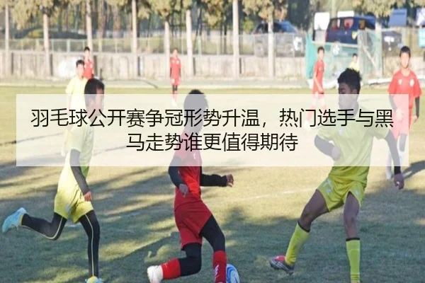 羽毛球公开赛争冠形势升温，热门选手与黑马走势谁更值得期待